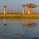 Descripción: Cerca de Morondava localidad costera de hermosas playas