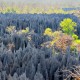 Descripción: Los famosos Tsingi del Parque Nacional de Tsingy de Bemaraha